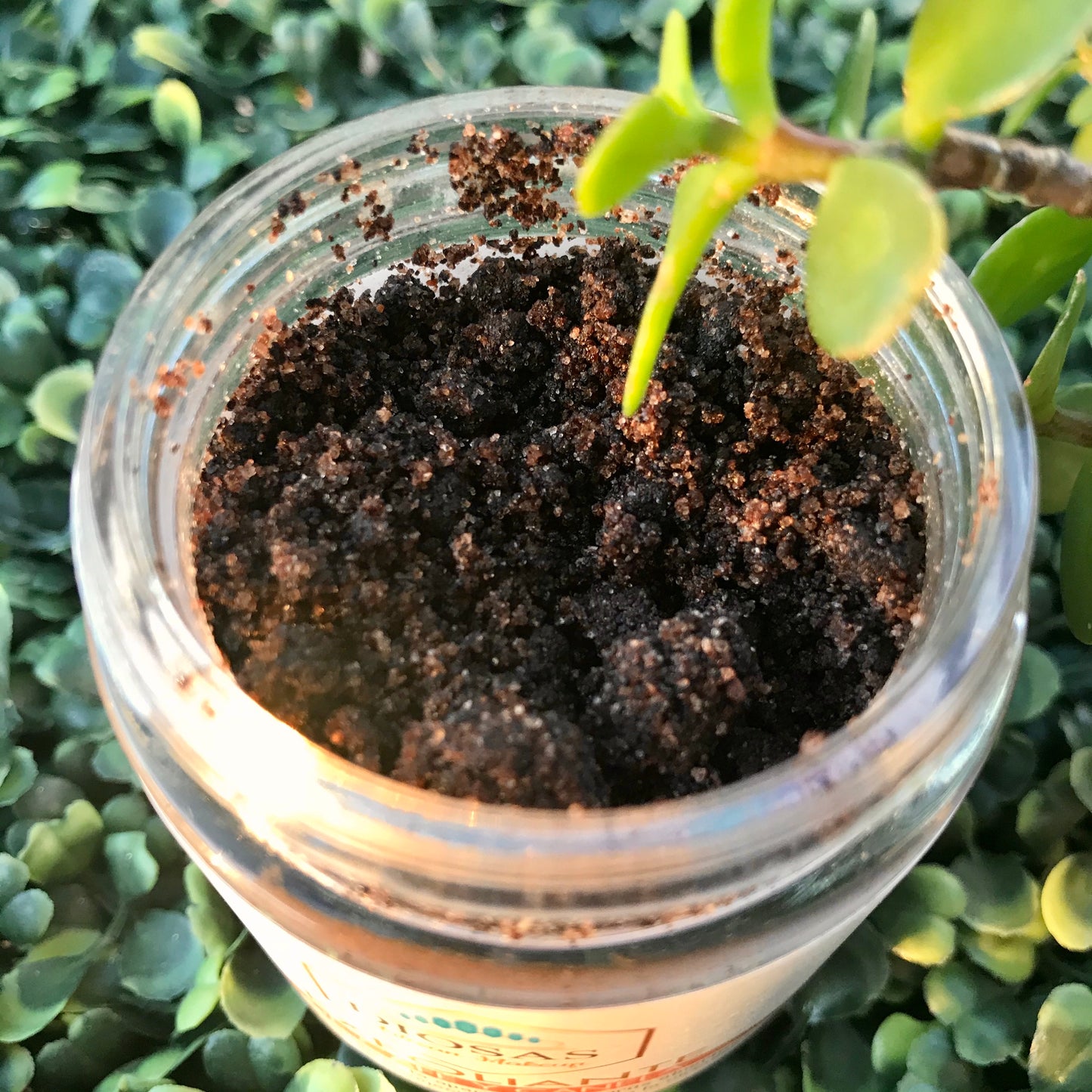 Local Coffee & Sea Salt Scrub